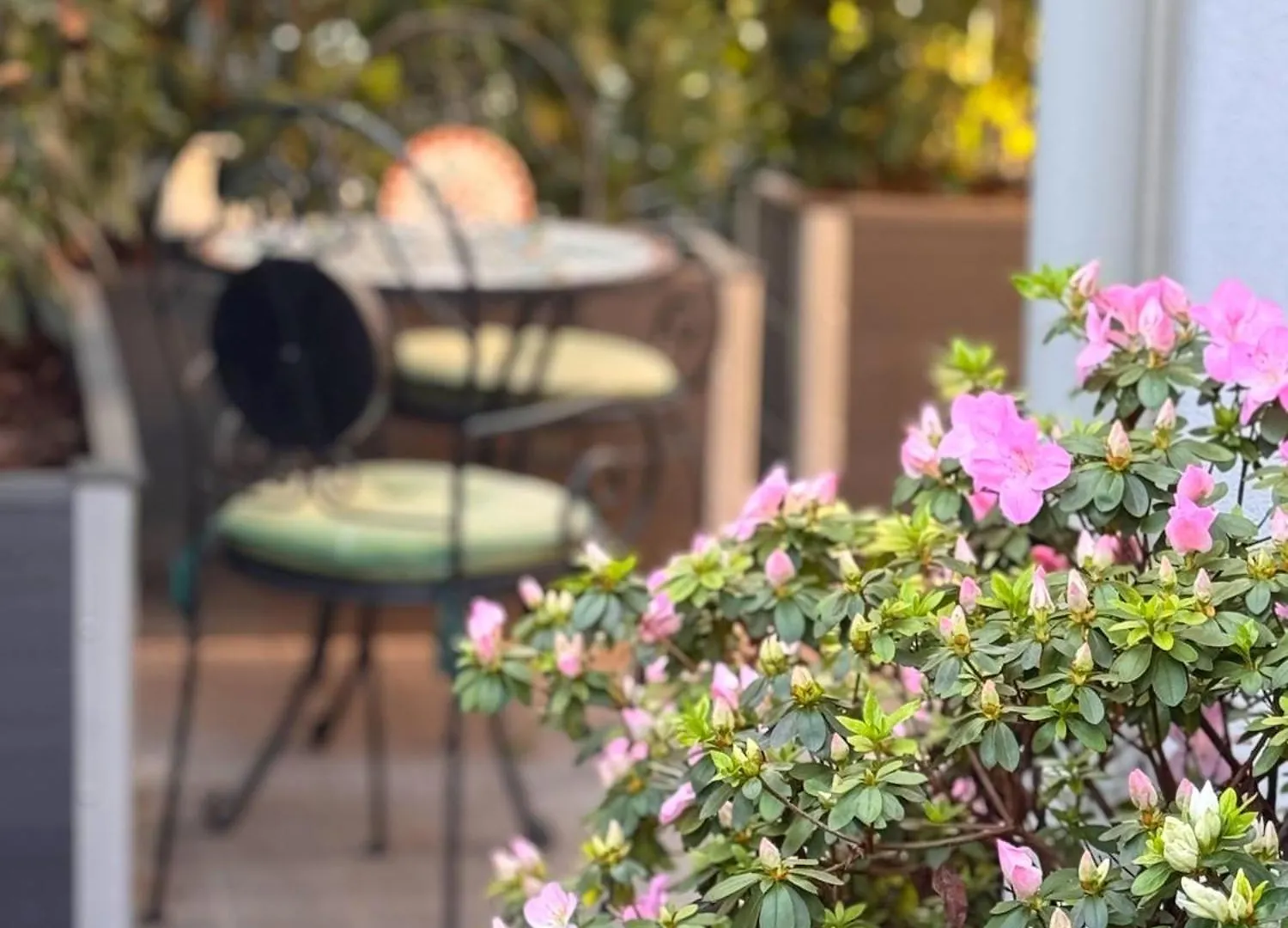 Suite Privata Con Terrazza Bolonya İtalya