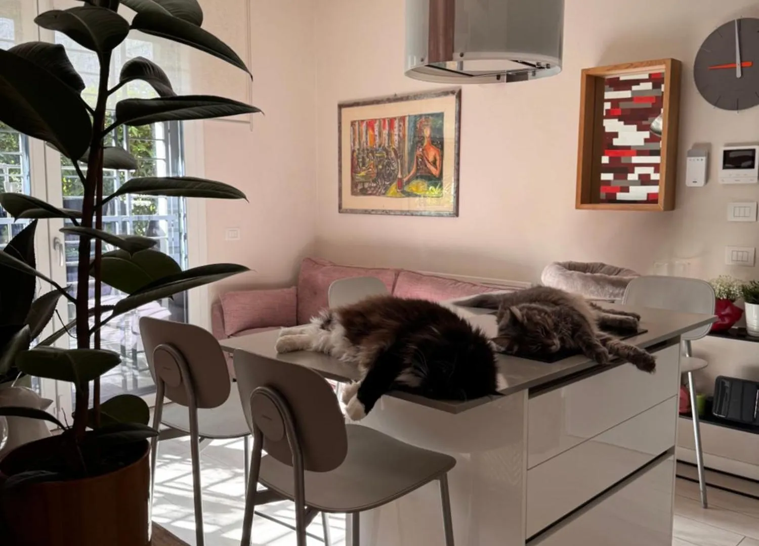 Suite Privata Con Terrazza Bolonya 0*,  İtalya